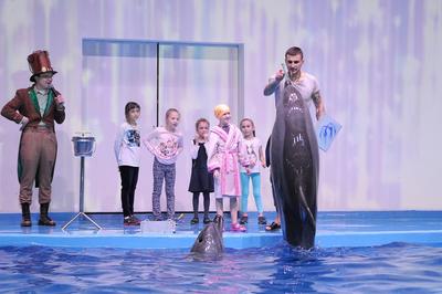 Океанариум и дельфинарий в Екатеринбурге | РИА Новости Медиабанк