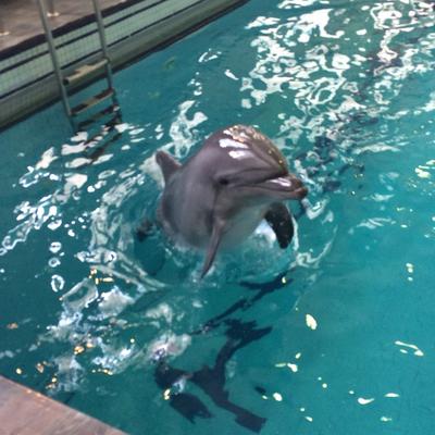 дельфинарий в Набережных Челнах 2024 | ВКонтакте