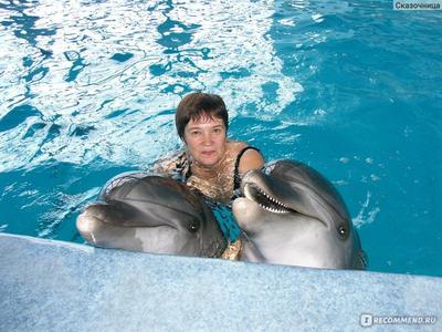 Стало известно, когда после реконструкции откроется дельфинарий в Минске —  OfficeLife