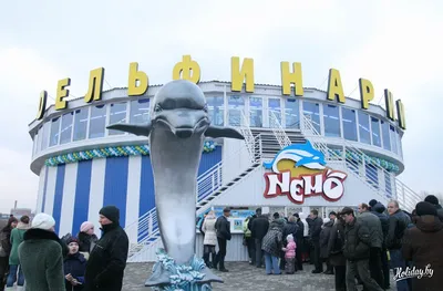 Первый дельфинарий в Минске (фото, видео + цены на билеты) в зоопарке -  туристический блог об отдыхе в Беларуси