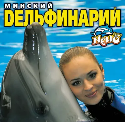 Дельфинарий «Немо» в зоопарке Минска. Обзор представления • Family.by