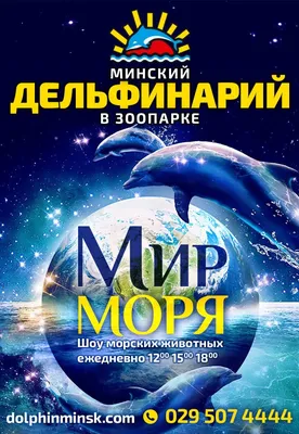 Фото: Минский дельфинарий Немо, дельфинарий, Ташкентская ул., 40, Заводской  район, микрорайон Чижовка, Минск — Яндекс Карты