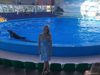Минский дельфинарий | Minsk
