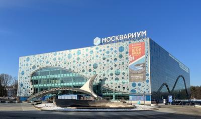 Какой океанариум лучший в Москве » Рейтинг лучших океанариумов столицы