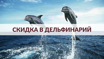 Океанариум в Новосибирске принял первых посетителей - Аква Лого инжиниринг