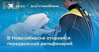 Недешевое зрелище: в Новосибирске открылся дельфинарий - Сибирь -  info.sibnet.ru