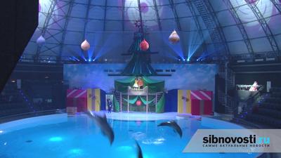 Новосибирский дельфинарий снижает цены на билеты