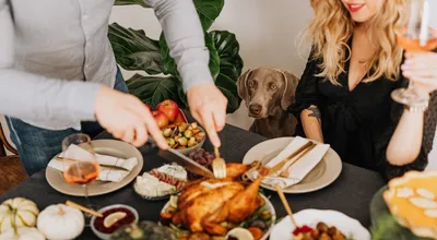 Индейка на День благодарения: зачем и как готовят птицу на этот праздник?