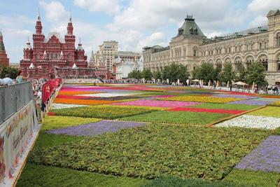 История празднования Дня города в Москве - РИА Новости, 31.08.2010