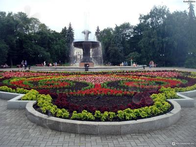 Екатеринбургский дендропарк — Википедия