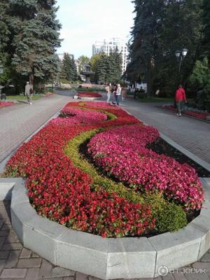 Дендропарк на ул.Первомайской