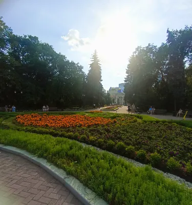 Отзыв о Дендрарий (Россия, Екатеринбург) | Парк там замечательный,  красивый, увлекательный