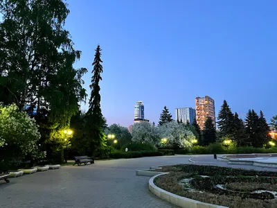 10 лучших парков Екатеринбурга. Где покормить белку и отдохнуть