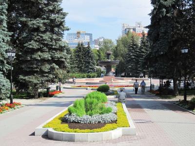 В мэрии Екатеринбурга рассказали, как изменится дендропарк на Первомайской  - «Уральский рабочий»