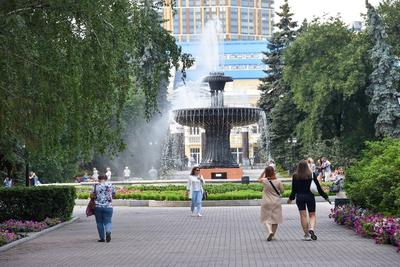 Дендрарий УПИ, Екатеринбург - «Рай на земле!» | отзывы