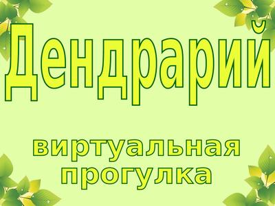 Дендрологический парк на Первомайской (Екатеринбург). Фото, адрес  дендропарка, как добраться – Туристер.Ру