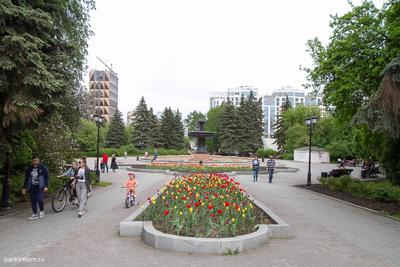 В Екатеринбурге с 19 апреля закрывают на просушку дендропарк на 8 Марта »  Вечерние ведомости