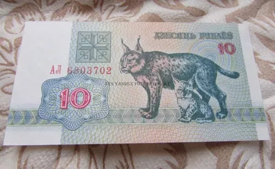 Белорусский рубль: как создавалась национальная валюта