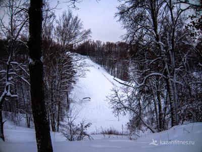 Казань к этому готовилась давно»: на выезде из города построят платные  автомагистрали