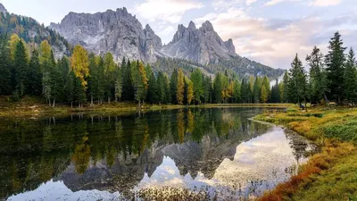 Фотографии Лигурия Чинкве-Терре парк Италия улиц Дома город Деревья