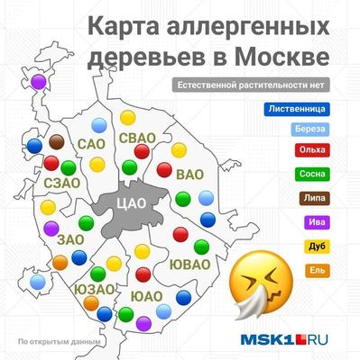 https://yamal-media.ru/narrative/srubit-nelzja-ostavit-moskvichi-reshajut-chto-delat-s-topoljami