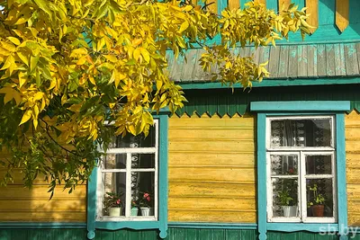 Два последних жителя умирающей белорусской деревни Залесье (20 фото) »  Триникси