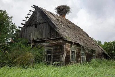 Как живет белорусская деревня, которая веками развивалась отдельно от всего  мира