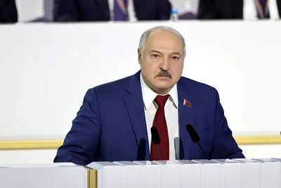 Лукашенко призвал Запад разобраться с вывозом с Украины детей на органы -  Газета.Ru | Новости