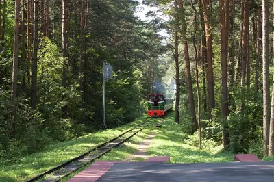 Детская железная дорога открыла летний сезон. Дети с 10 лет могут  попробовать себя в роли машинистов