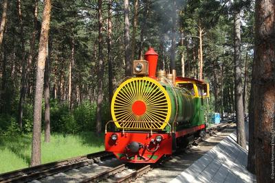 Акции и викторины пройдут на детской железной дороге в Новосибирске |  Новости – Gorsite.ru