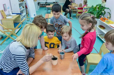 Нет завтраков и \"тихого часа\": рассказываю, чем отличаются детские сады в  Германии | ГерманоПанорама: Германия и не только | Дзен