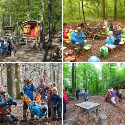 Лесной детский сад в Германии: что такое Waldkindergarten