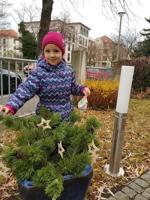 Детские сады в Германии: шестиместные коляски и прогулки в любую погоду |  Откровения бывшей эмигрантки | Дзен