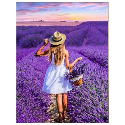 красивая девушка в шляпе сидит в фиолетовом лавандовом поле Стоковое Фото -  изображение насчитывающей повелительница, пурпурово: 223696892