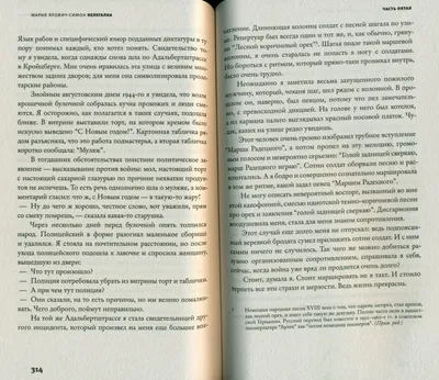 Повестка в военкомат в 2024, новая форма: как выглядит, правила вручения по  закону