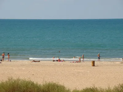 Дикий пляж Витязево — информация, описание, отзывы и фото пляжа