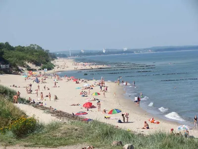 Дикий пляж на окраине Зеленоградска, Калининградская область