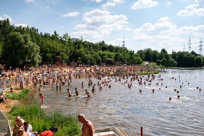 Пляжи недалеко от Москвы, куда можно приехать компанией или с детьми, и где  можно купаться в Подмосковье — Яндекс Путешествия