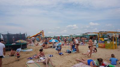 Успеть до конца лета: самые популярные пляжи Санкт-Петербурга