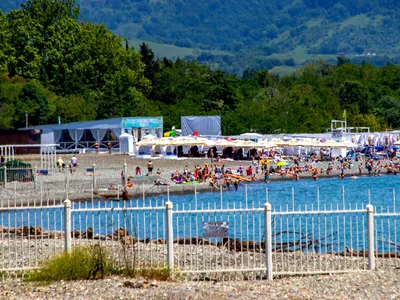 На пляжах Анапы много отдыхающих, люди загорают даже стоя в воде: видео от  туристов - 5 июля 2023 - МСК1.ру