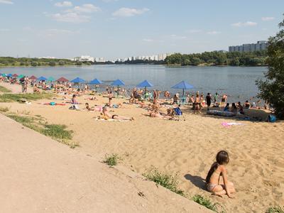 Лучшие пляжи Москвы и Подмосковья где купаться 👍