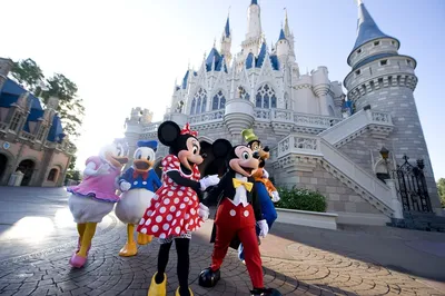 Disney Castle Magic Kingdom Disneyland Orlando Florida USA Stock Photo -  Alamy