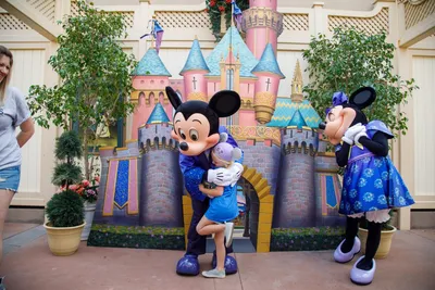 https://www.usatoday.com/videos/travel/2024/01/23/top-3-differences-between-disneyland-and-disney-world/72326249007/