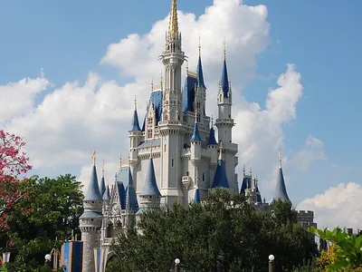 Парк Disney во Флориде 11 июля вновь начнет принимать гостей - Российская  газета