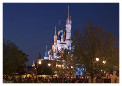 Три новых запрета в парках Disney во Флориде и Калифорнии | Русская Америка  | Дзен