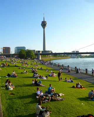 Дюссельдорф, Германия - «Достопримечательности Дюссельдорфа и радостная  атмосфера города» | отзывы