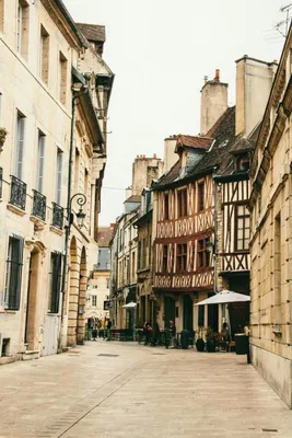 Дижон, Франция – описание города и достопримечательностей