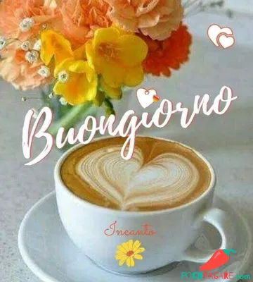Как сказать «доброе утро» в итальянском Buongiorno Иллюстрация вектора -  иллюстрации насчитывающей горизонтально, письмо: 187195713