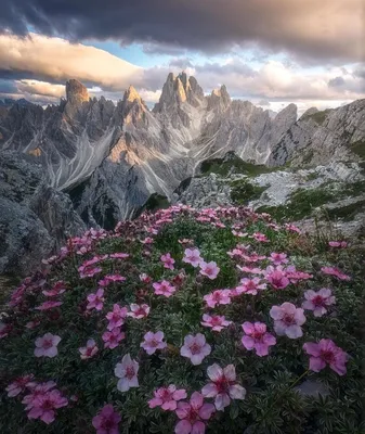 EDDFREEWIND: Хочу в Доломиты! Треккинги и виа ферраты в Доломитовых Альпах.  Италия.