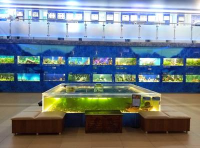 Дом-аквариум, Челябинск — цена билета, официальный сайт, адрес, время  работы, фото